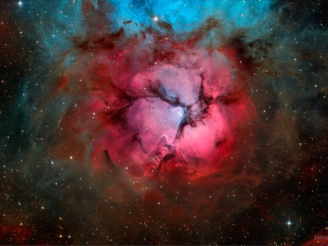In the Center of the Trifid Nebula