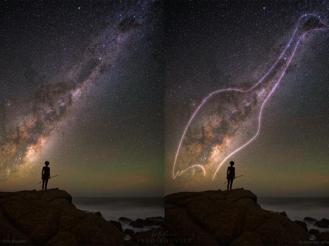 The Nandu in the Milky Way