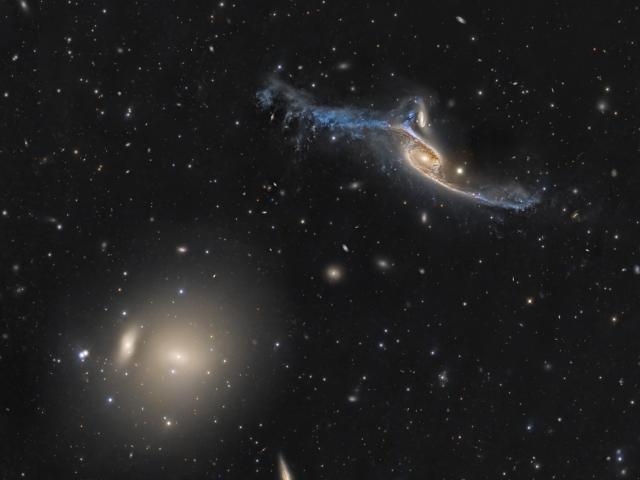Giant Galaxies in Pavo