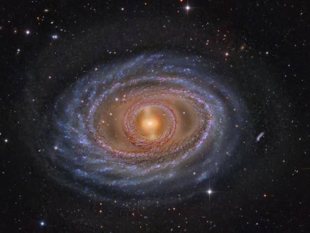 Rings and Bar of Spiral Galaxy NGC 1398