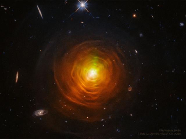 Shells and Arcs around Star CW Leonis