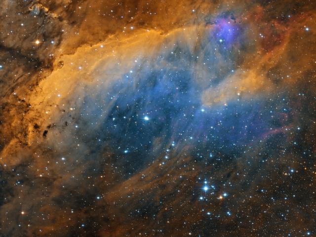 IC 4628: The Prawn Nebula