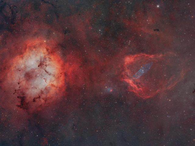 A Cosmic Zoo in Cepheus
