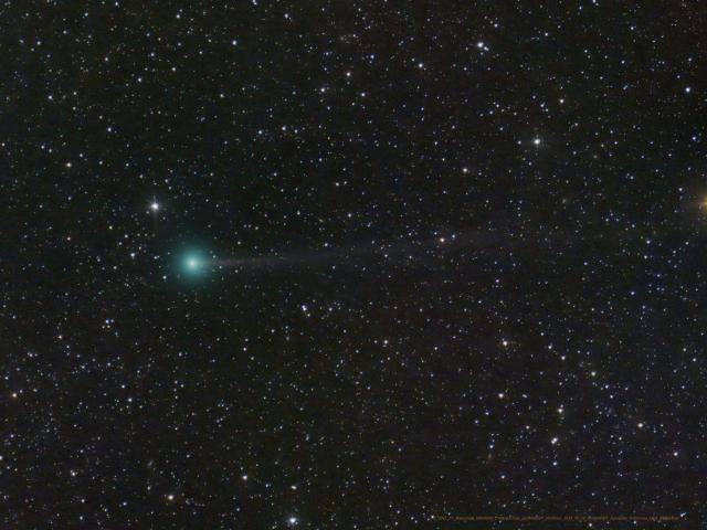 Introducing Comet Nishimura