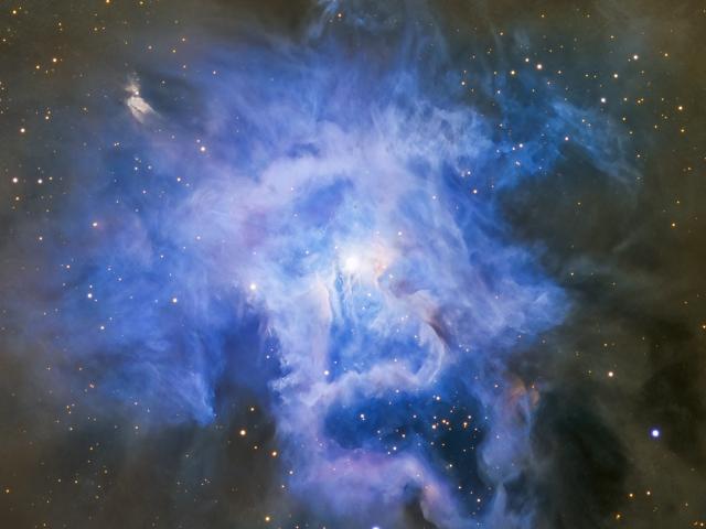 NGC 7023: The Iris Nebula
