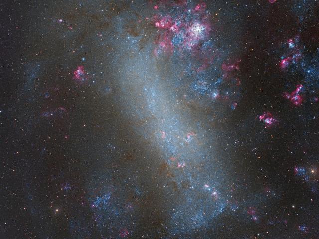 The Large Cloud of Magellan