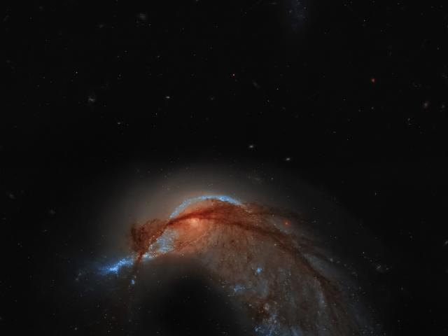 Arp 142: The Hummingbird Galaxy