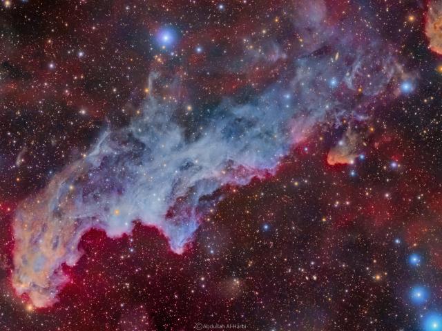 IC 2118: The Witch Head Nebula