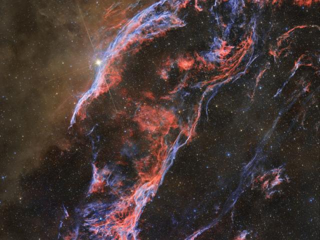 Dust and the Western Veil Nebula