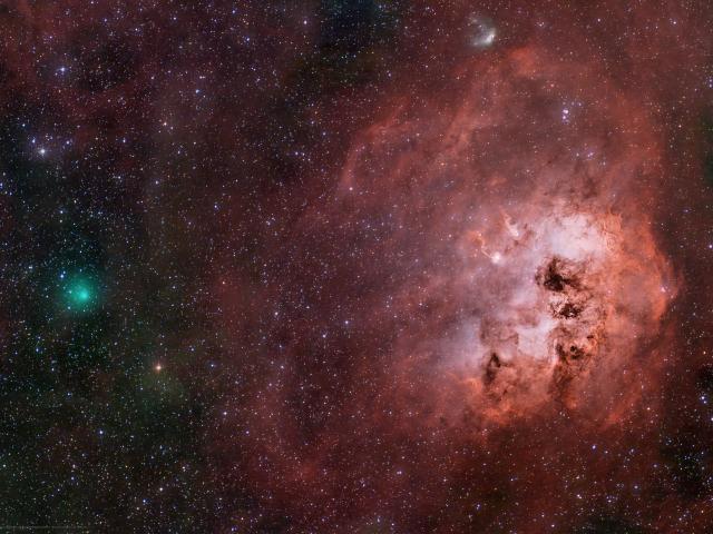 Encke and the Tadpoles