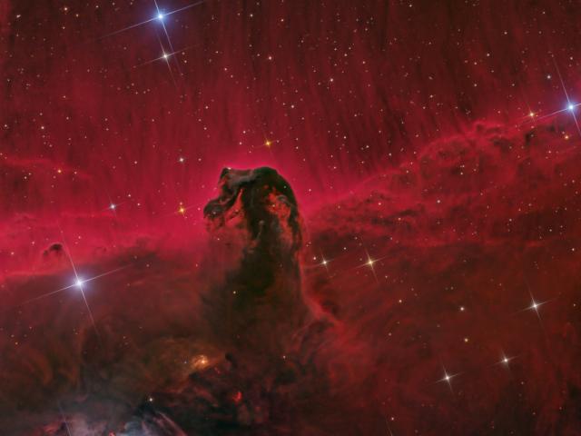 The Horsehead Nebula