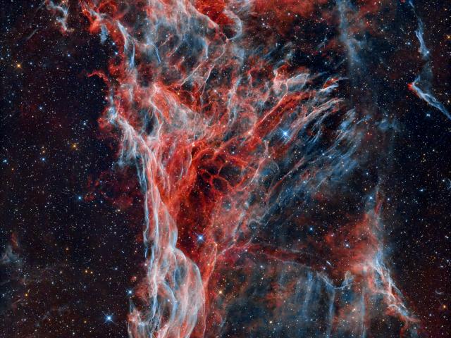 Flemings Triangular Wisp