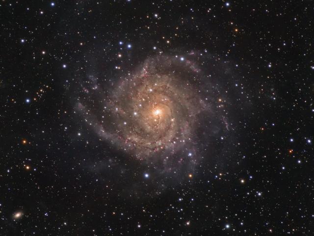 IC 342: Hidden Galaxy in Camelopardalis