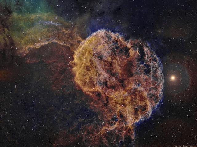 IC 443: The Jellyfish Nebula