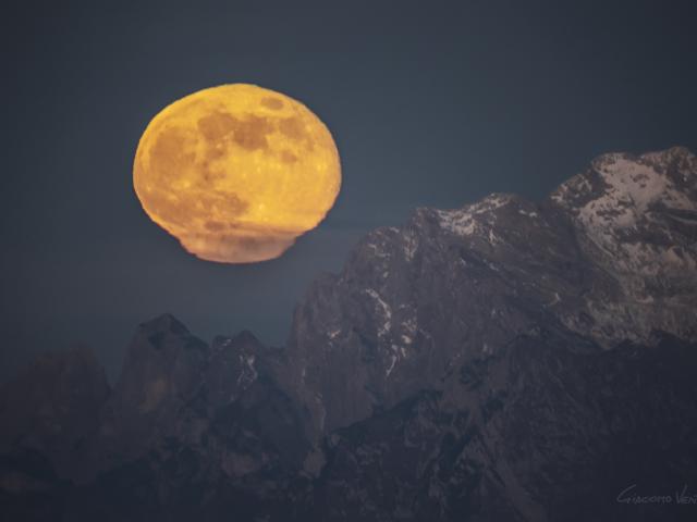 The Persistence of Moonlight