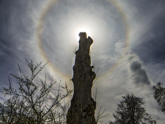 Circling the Sun