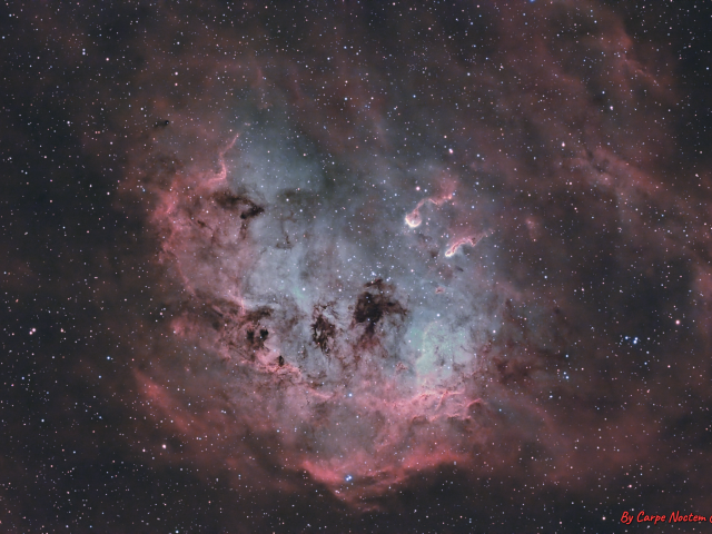 NGC 1893 and the Tadpoles of IC 410