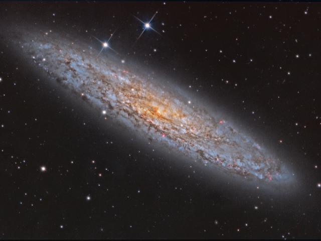 NGC 253: Dusty Island Universe
