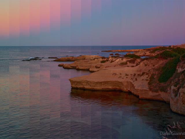 Shades of Night