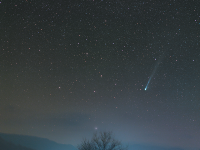 Comet 12P/Pons-Brooks in Northern Spring