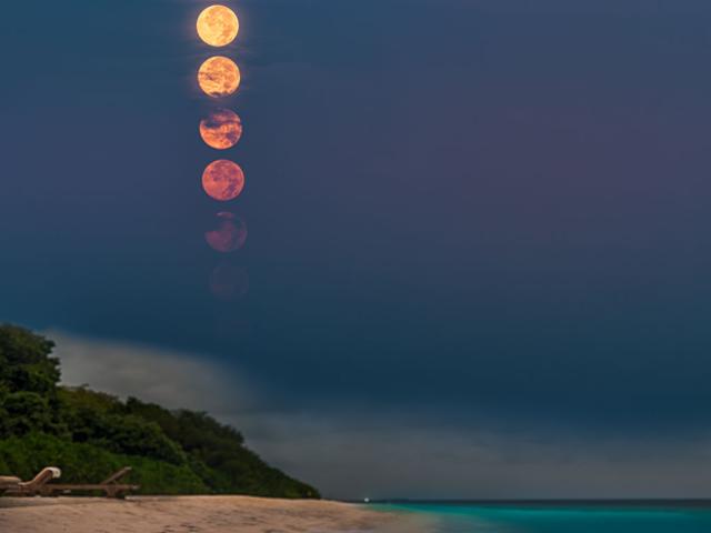 A Full Plankton Moon