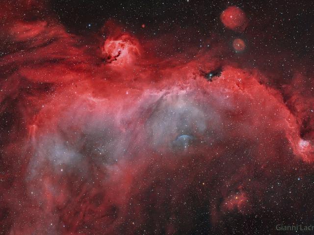 The Seagull Nebula