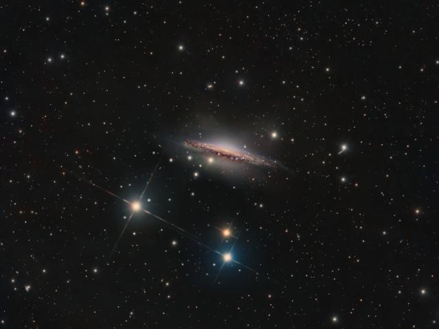 Portrait of NGC 1055