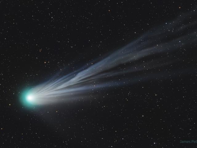 Comet Pons Brooks Ion Tail