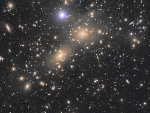 The Coma Cluster of Galaxies