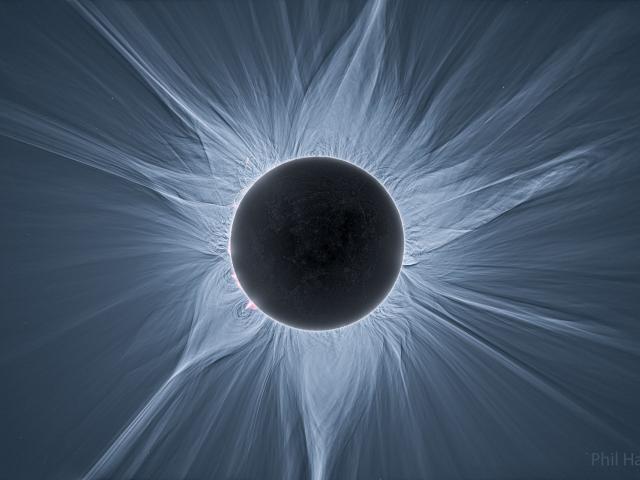 Detailed View of a Solar Eclipse Corona