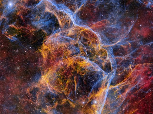 Filaments of the Vela Supernova Remnant
