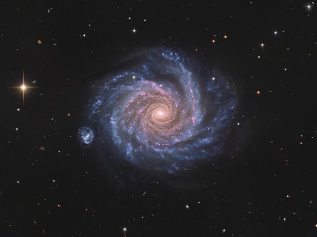 Facing NGC 1232