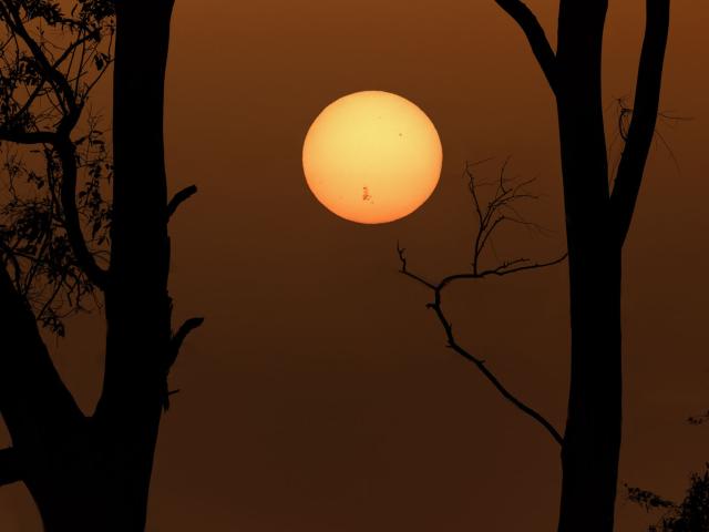 AR 3664 on a Setting Sun
