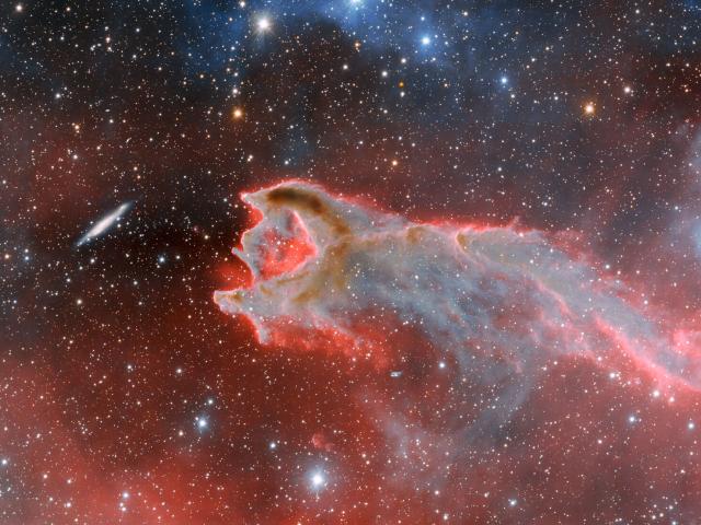 CG4: The Globule and the Galaxy