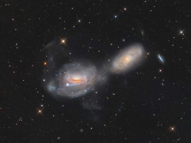 Unraveling NGC 3169