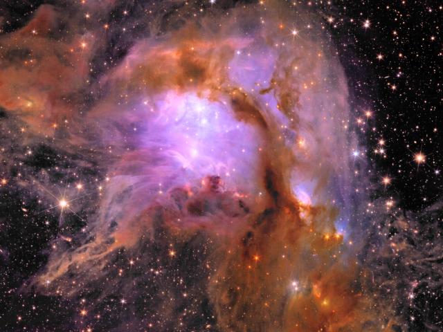 M78 from the Euclid Space Telescope