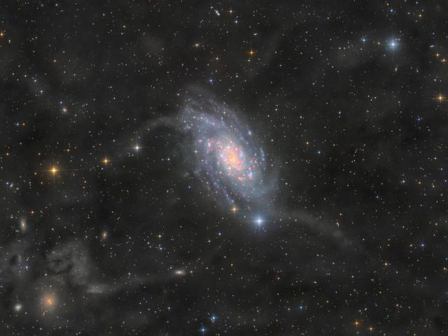 NGC 2403 in Camelopardalis
