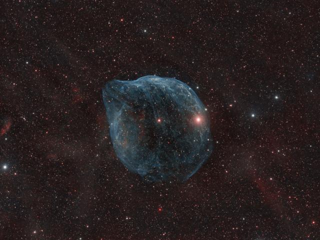 Sharpless 308: The Dolphin Head Nebula