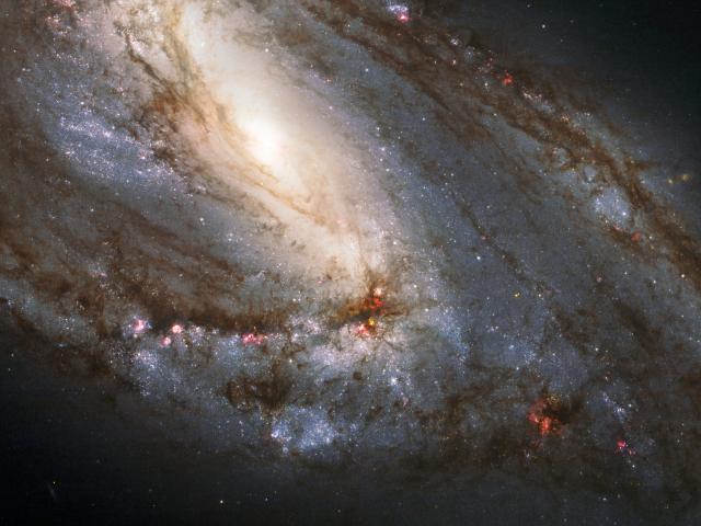 Messier 66 Close Up