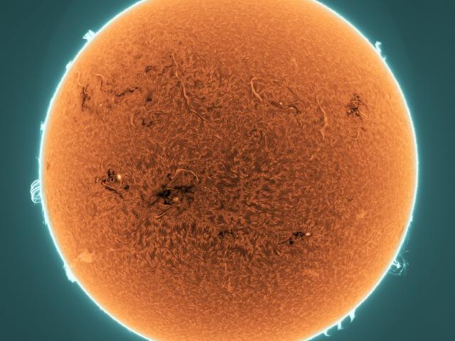 Prominences and Filaments on the Active Sun