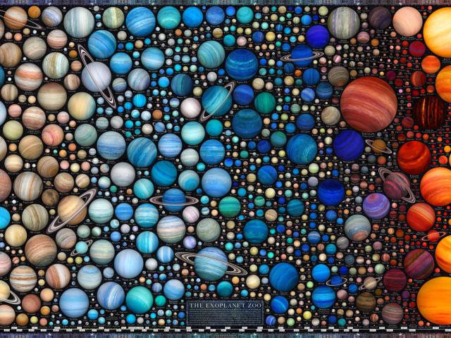 Exoplanet Zoo: Other Stars