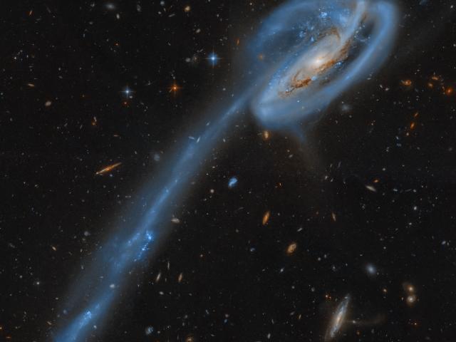 The Tadpole Galaxy from Hubble