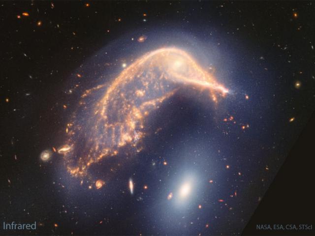 Arp 142: Interacting Galaxies from Webb