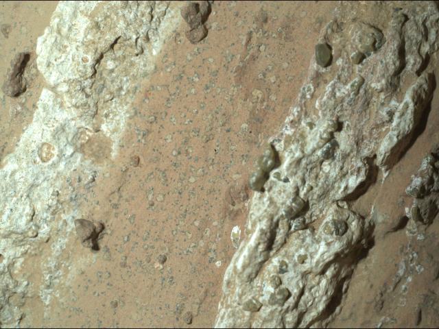 Leopard Spots on Martian Rocks