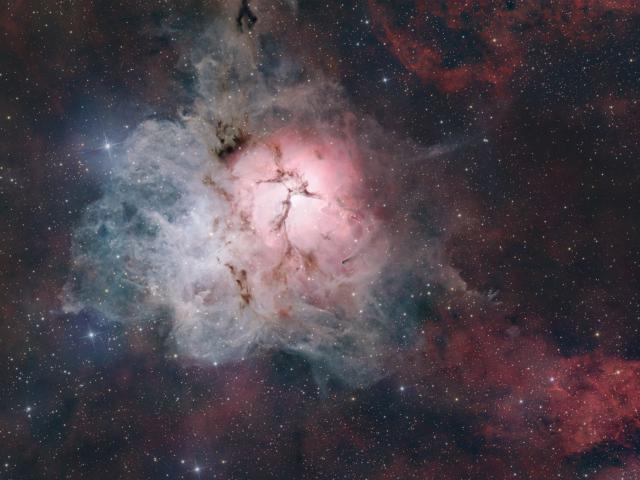 The Light, Dark, and Dusty Trifid