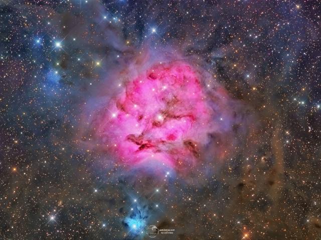 IC 5146: The Cocoon Nebula