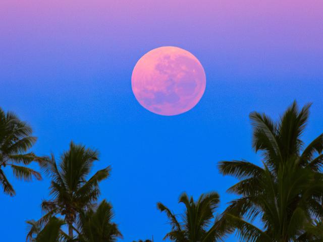 South Pacific Shadowset