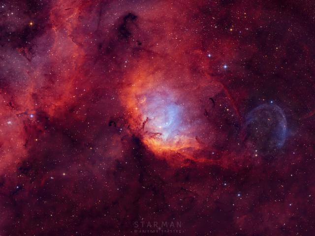 Tulip Nebula and Black Hole Cygnus X 1