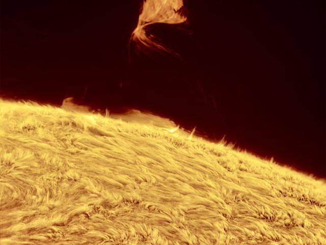 A Triangular Prominence Hovers Over the Sun