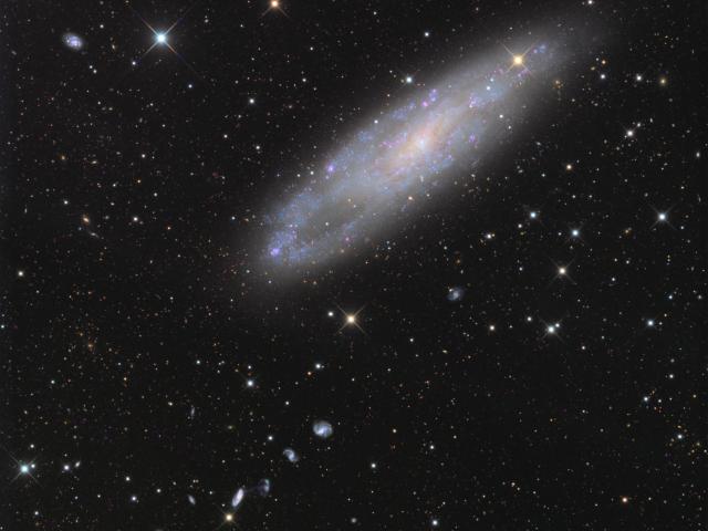 NGC 247 and Friends